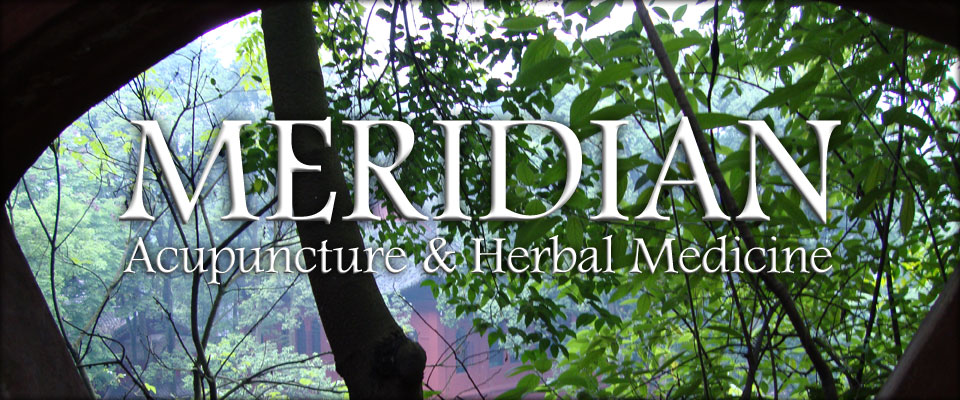 Meridian Acupuncture & Herbal Medicine of Louisville Kentucky