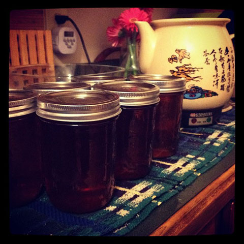 Prepared Herbal Decoction