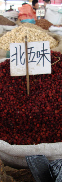 Practitioners - Sidebar Image