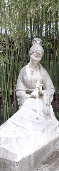 Practitioners - Sidebar Image