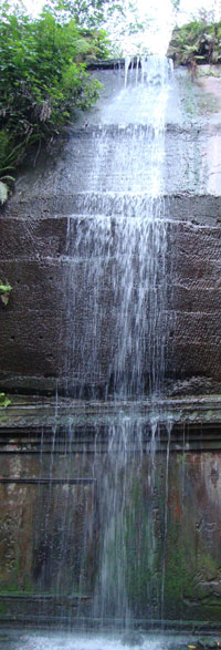 Forms - Sidebar Image