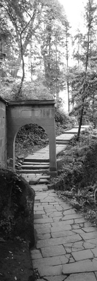 The Clinic - Sidebar Image