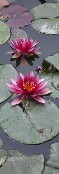 What to Expect - Sidebar Image